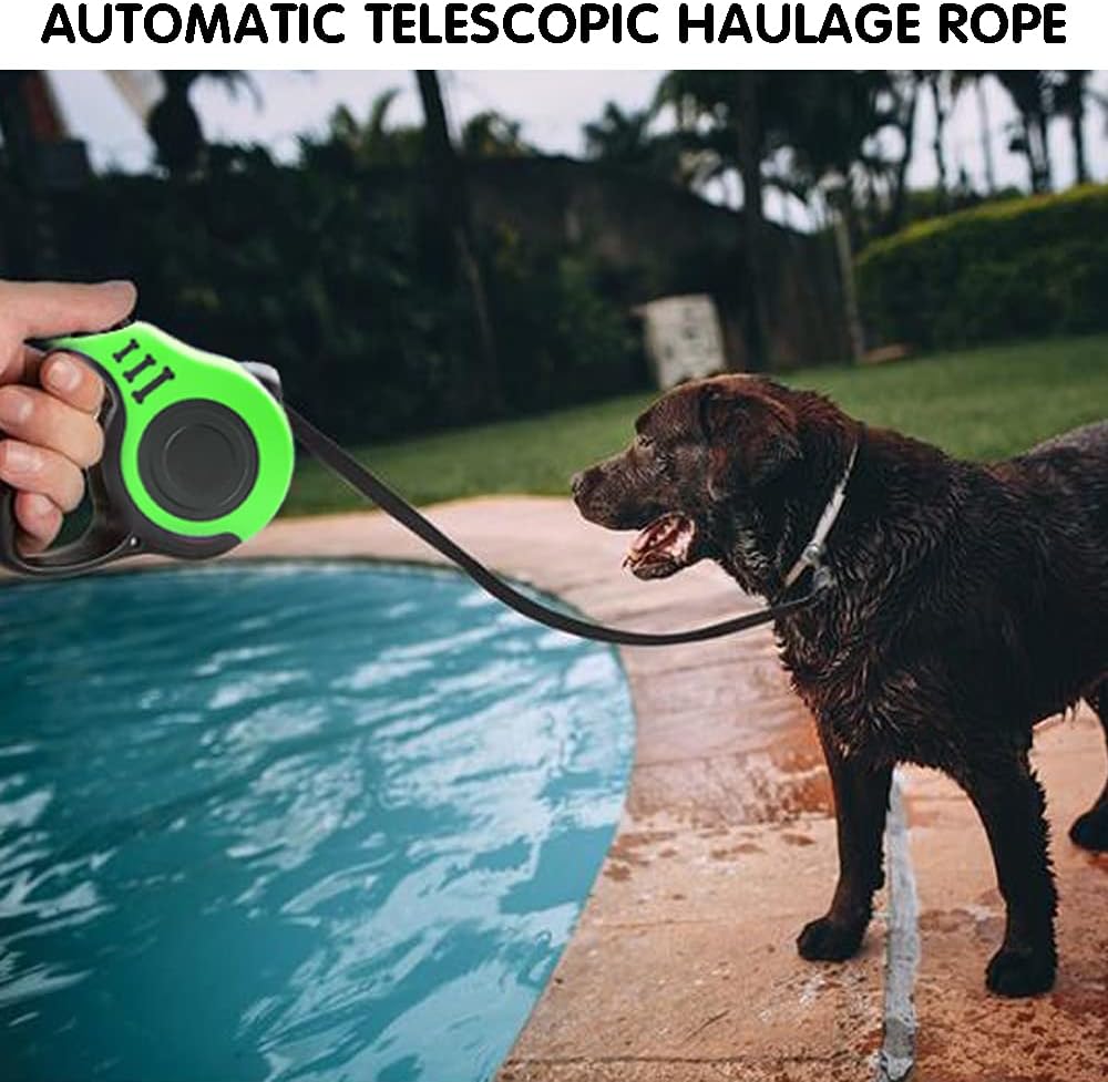 Laisse de protection pour animaux de compagnie - Abepet