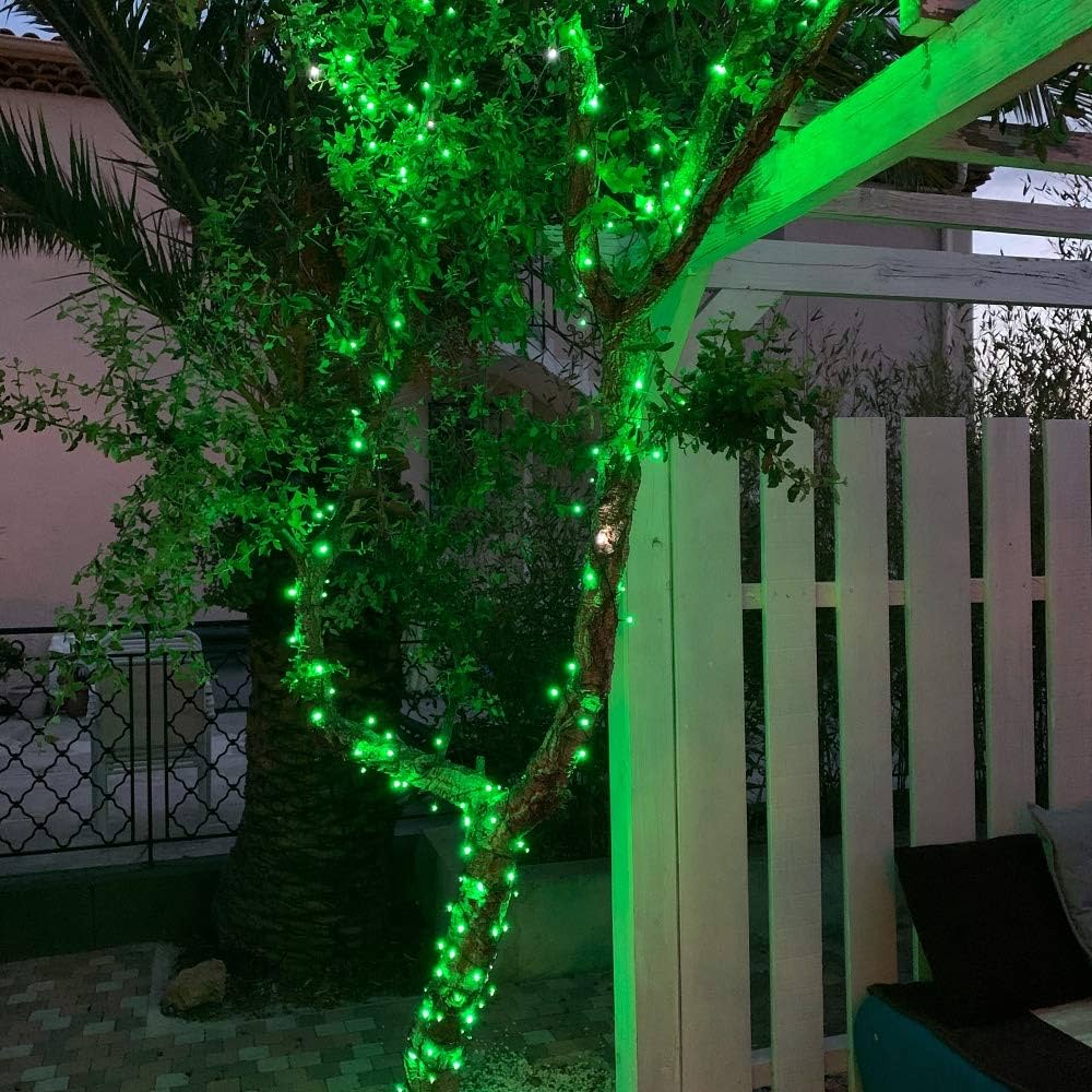 Guirlande lumineuse décorative - Kit 100 LED vert - 10M