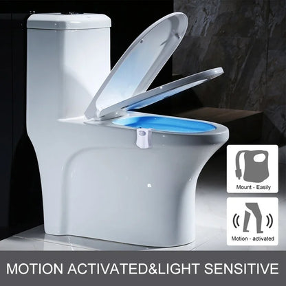 Lumière LED intelligente à 8/16 couleurs pour couvercle de toilette, veilleuse avec détecteur de mouvement
