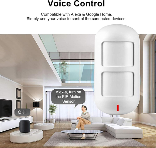 Détecteur de Mouvement Wi-Fi HW-W06