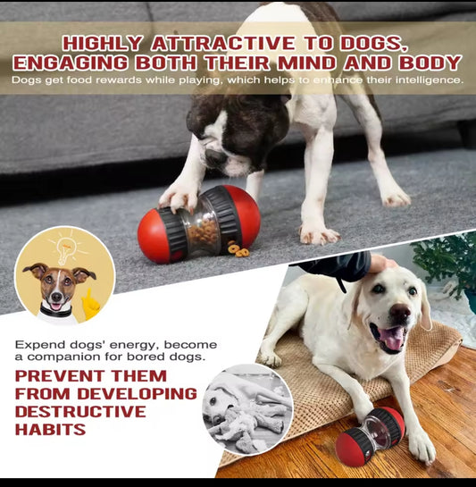 Jouet interactif pour chien – Distributeur de croquettes réglable